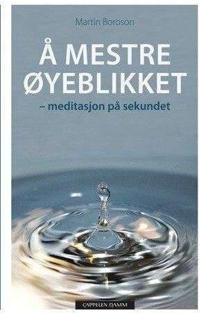 bokforside aa_mestre_oeyeblikket_meditasjon_paa_sekunde